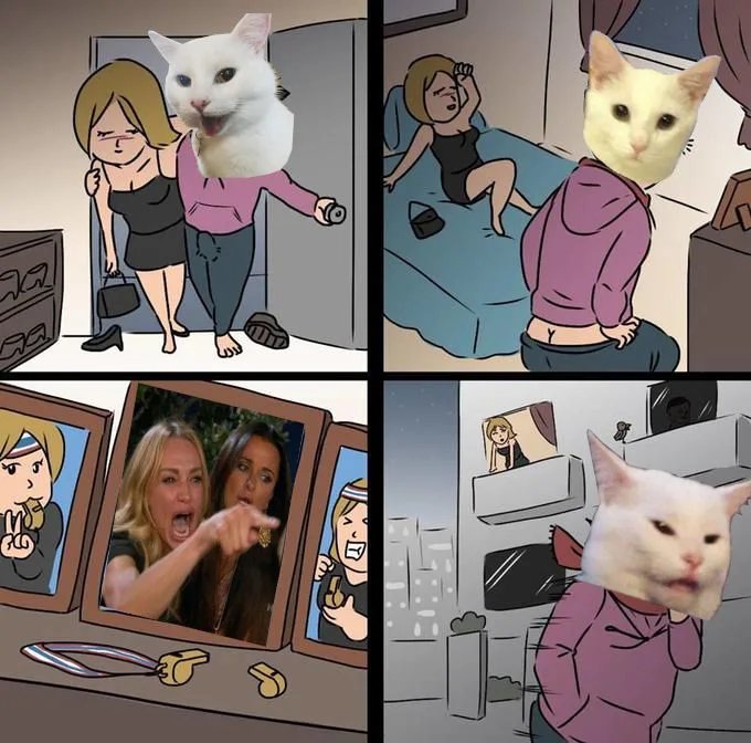 smudge the cat meme