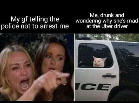 uber driver police cat meme - My gf telling the police not to arrest me Me, drunk and wondering why she's mad at the Uber driver Ce
