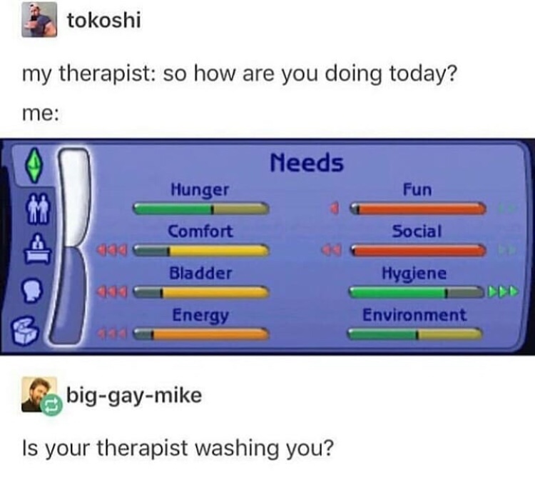 your therapist washing you - tokoshi my therapist so how are you doing today? me Needs Hunger Fun Comfort Social Bladder Hygiene Energy Environment biggaymike Is your therapist washing you?