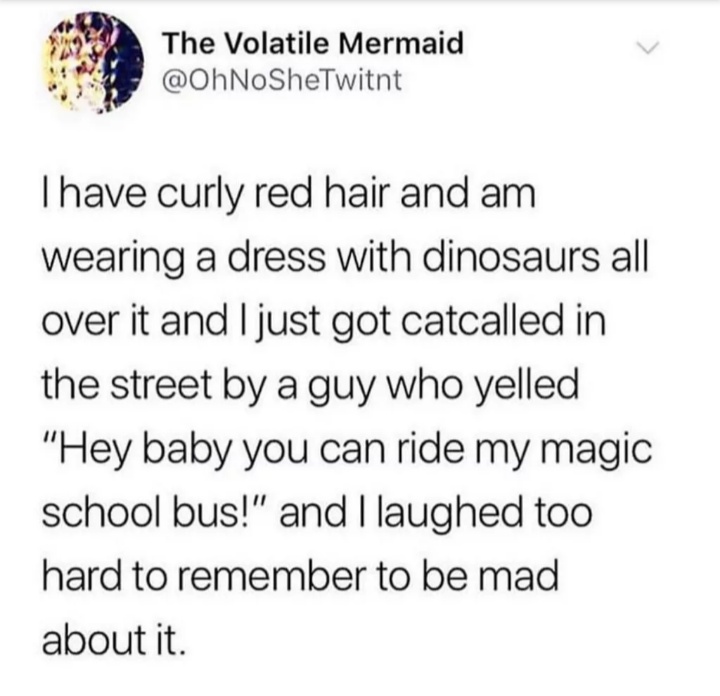 The Volatile Mermaid Thave curly red hair and am wearing a dress with dinosaurs all over it and I just got catcalled in the street by a guy who yelled "Hey baby you can ride my magic school bus!" and I laughed too hard to remember to be mad about it.