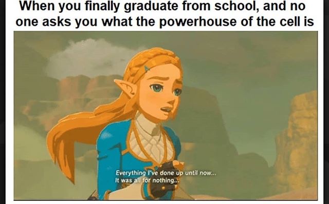 The Legend of Zelda - When you finally graduate from school, and no one asks you what the powerhouse of the cell is Everything I've done up until now... It was all for nothing...