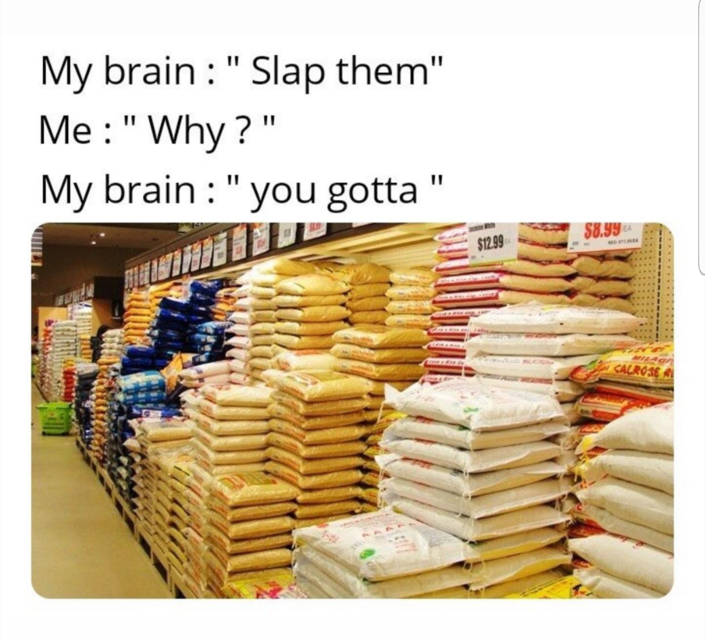 snack - My brain " Slap them" Me"Why?" My brain " you gotta