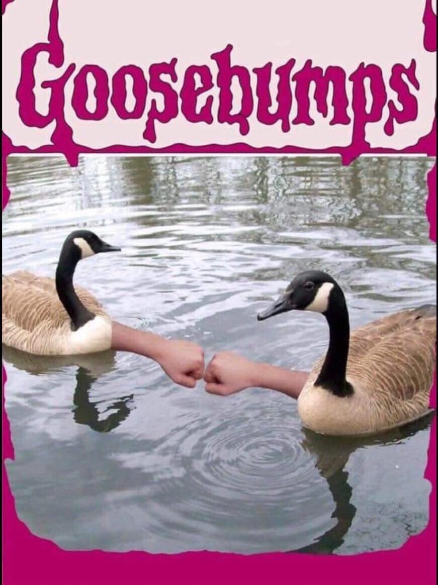 goose bump meme - Goosebumps