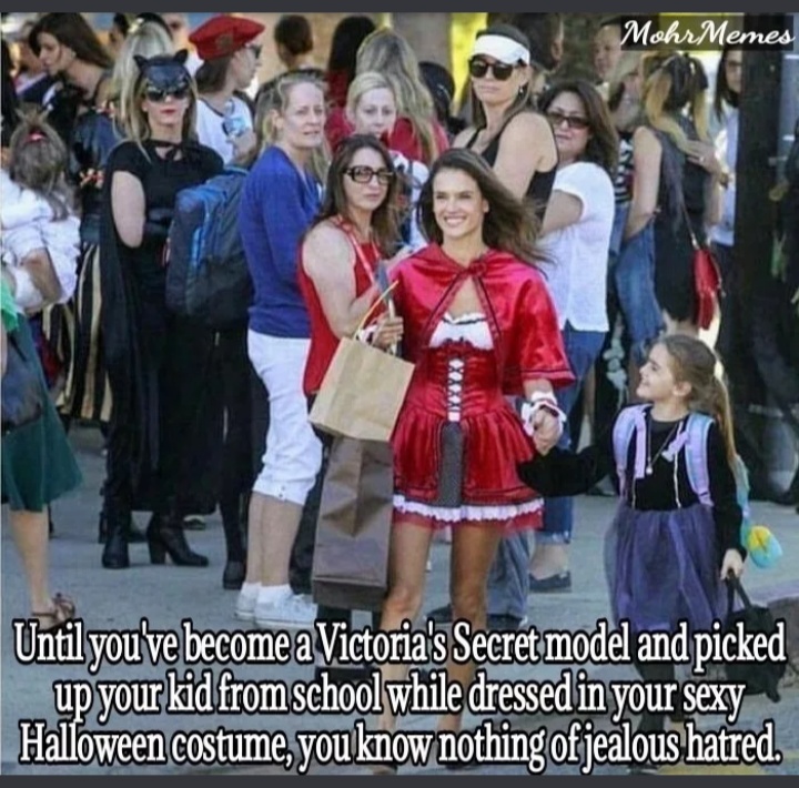 funny quotes on envy - Mohr Memes Until you've become a Victoria's Secret model and picked up your kid from school while dressed in your sexy Halloween costume, you know nothing of jealous hatred.