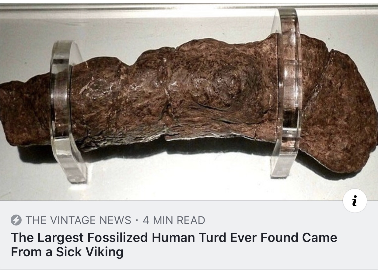 largest fossilized human turd - The Vintage News 4 Min Read The Largest Fossilized Human Turd Ever Found Came From a Sick Viking