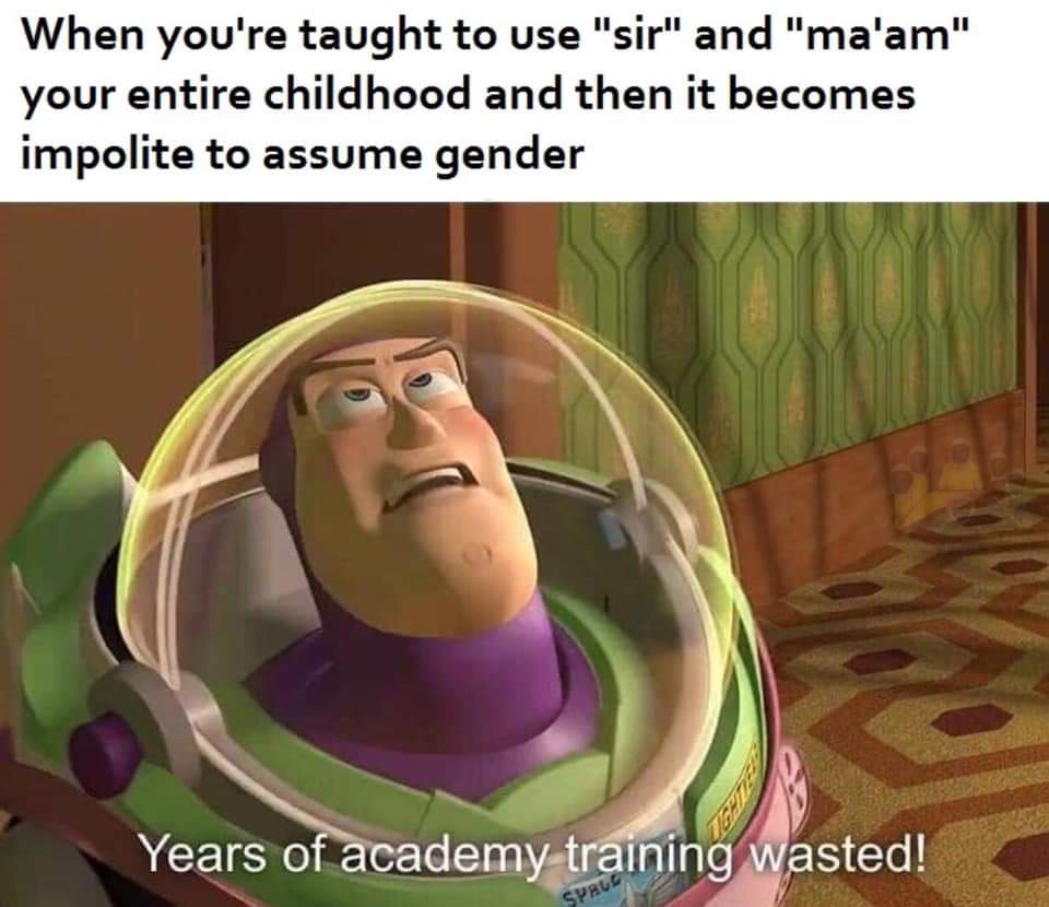 years of academy training wasted meme - When you're taught to use "sir" and "ma'am" your entire childhood and then it becomes impolite to assume gender Years of academy training wasted!