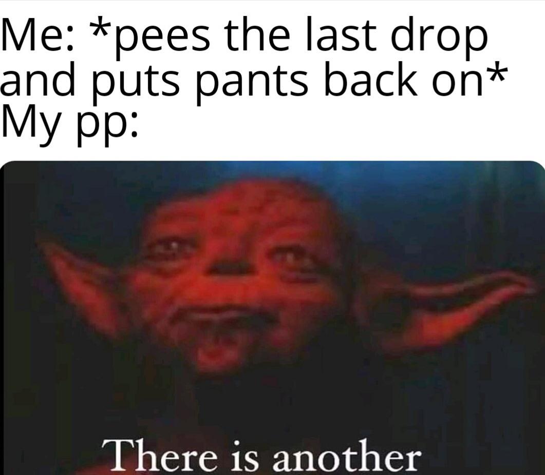Internet meme - Me pees the last drop and puts pants back on My pp There is another