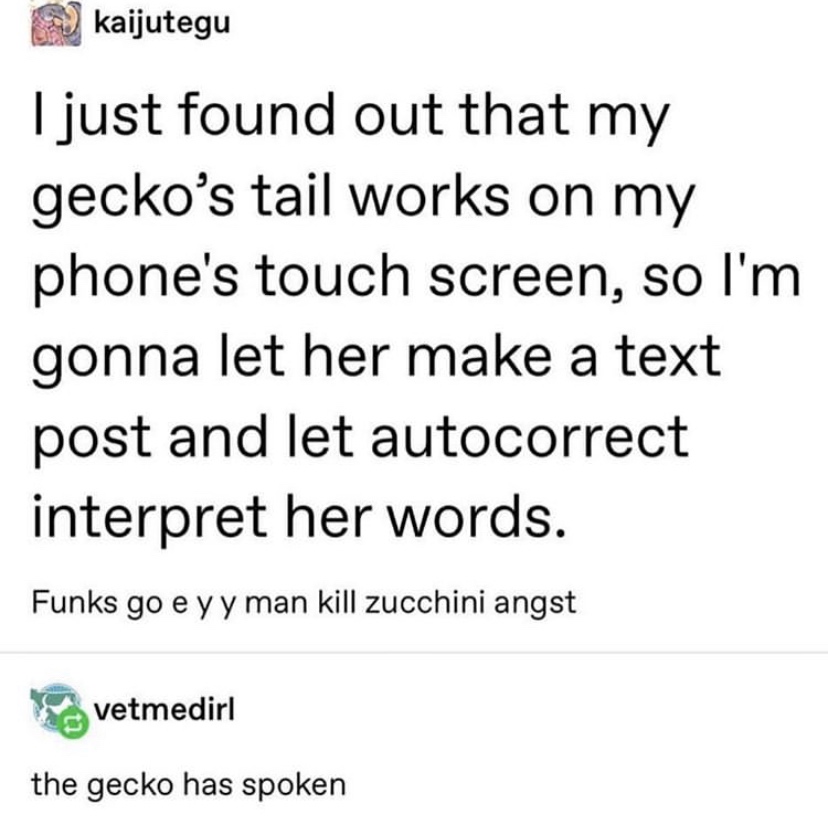funny tumblr posts random - 9 kaijutegu I just found out that my gecko's tail works on my phone's touch screen, so I'm gonna let her make a text post and let autocorrect interpret her words. Funks go e yy man kill zucchini angst vetmedirl the gecko has sp