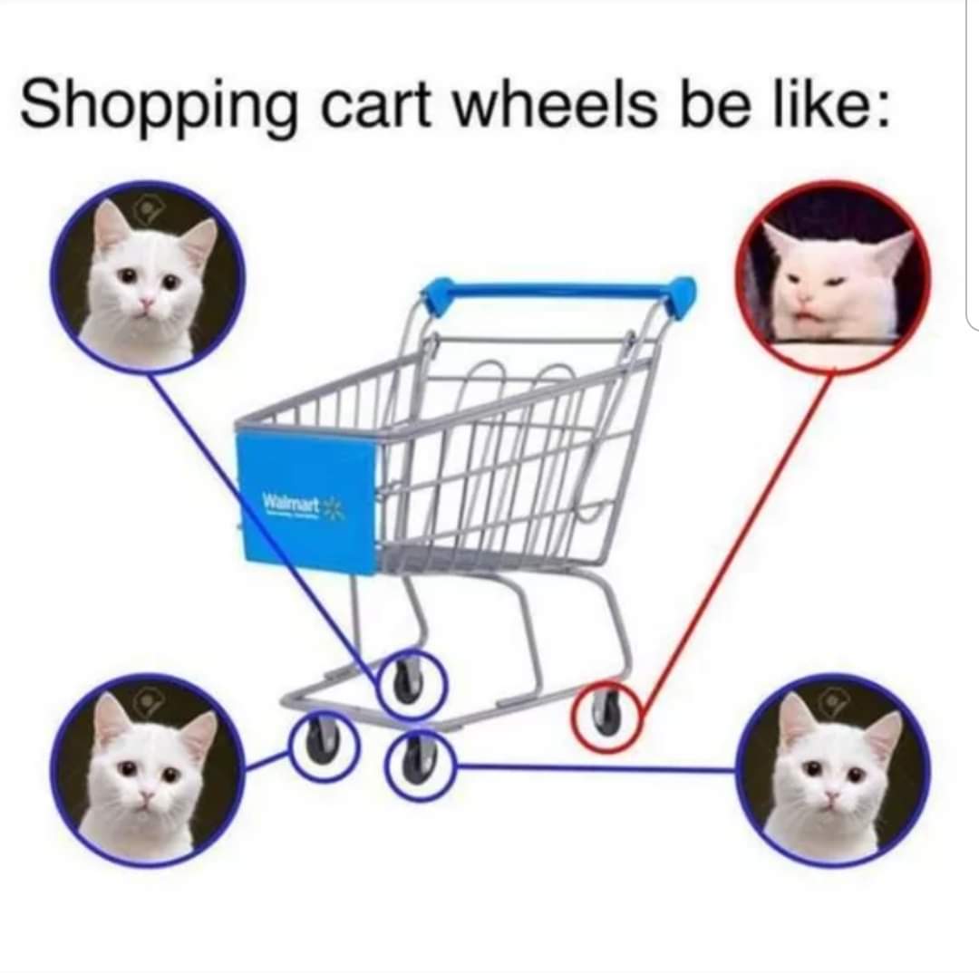 45 Fresh Pics Packed To The Brim With Cool Gallery eBaum's World