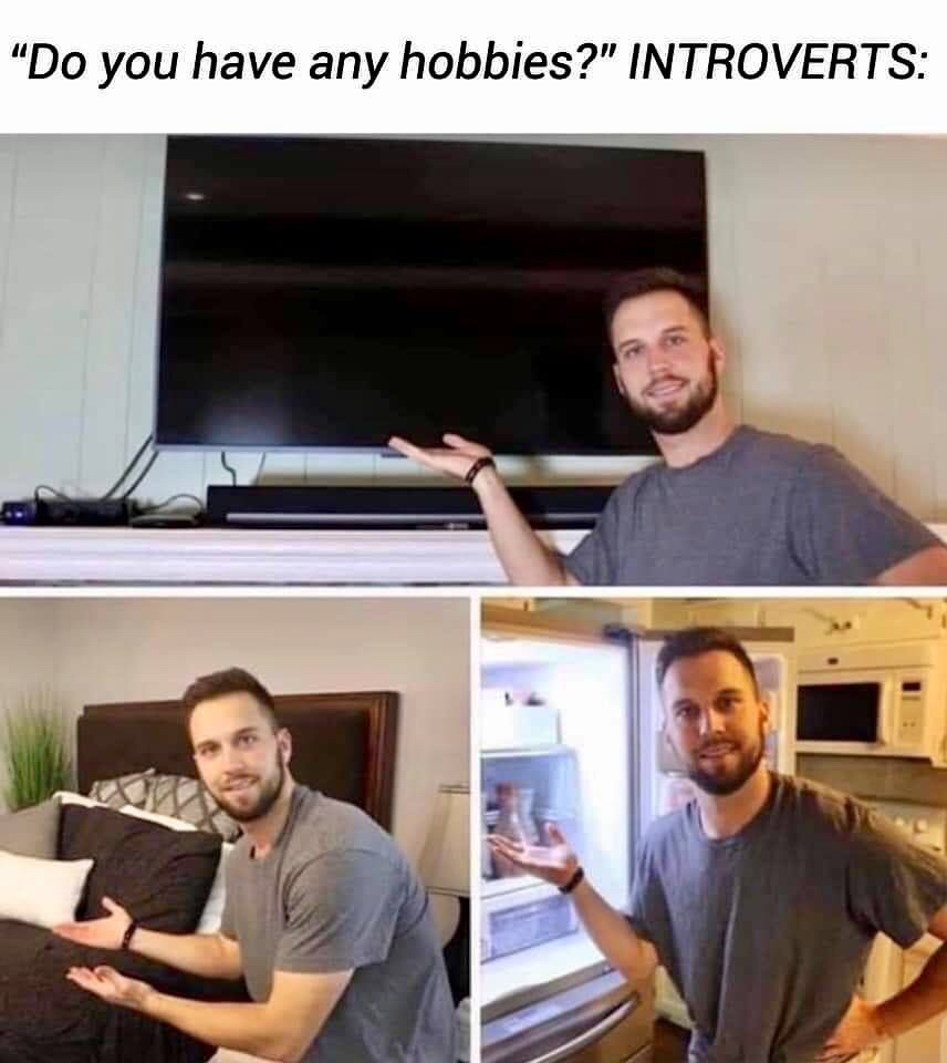 do you have any hobbies meme - Do you have any hobbies?" Introverts