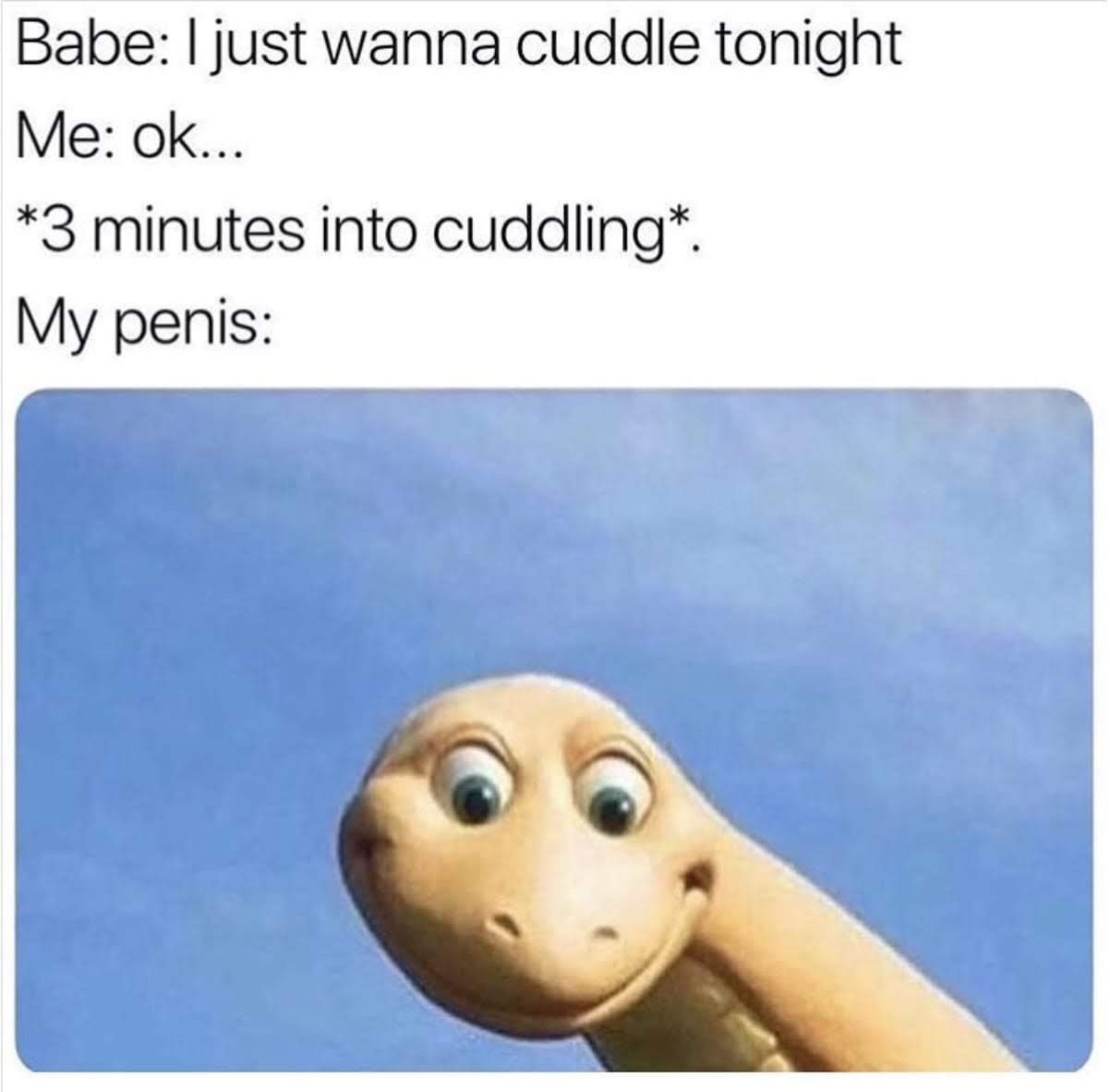 sex memes - Babe I just wanna cuddle tonight Me ok... 3 minutes into cuddling. My penis