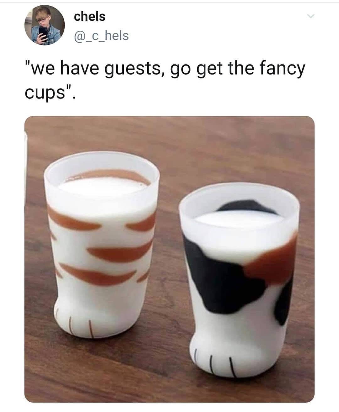 cat paw cup - chels "we have guests, go get the fancy cups".
