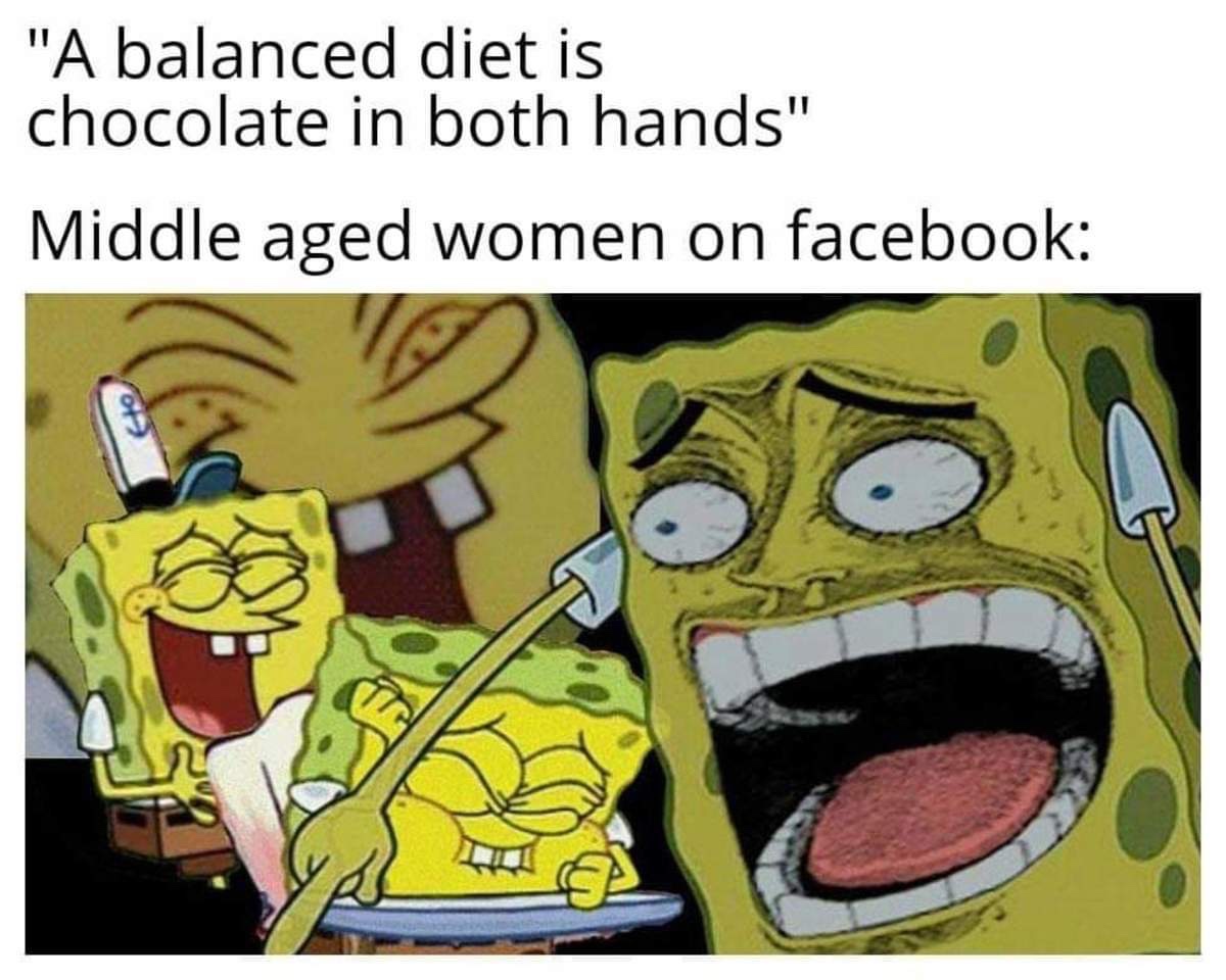 balanced diet is chocolate in both hands meme - "A balanced diet is chocolate in both hands" Middle aged women on facebook