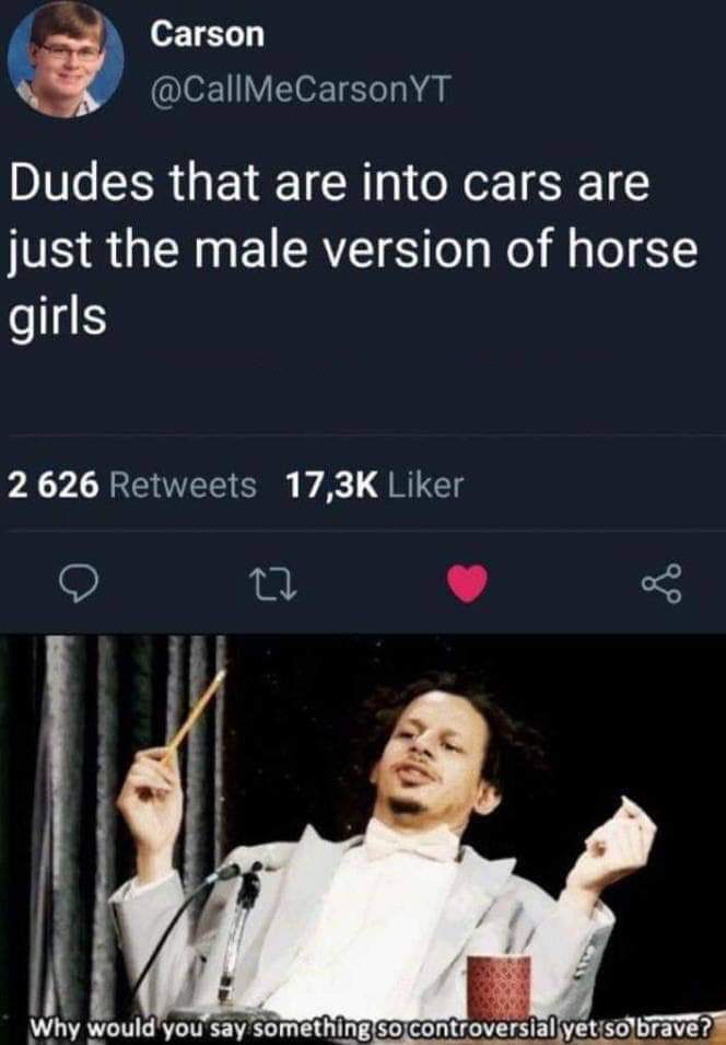 would you say something so controversial gif - Carson Yt Dudes that are into cars are just the male version of horse girls 2626 r Why would you say something so controversial yet so brave?