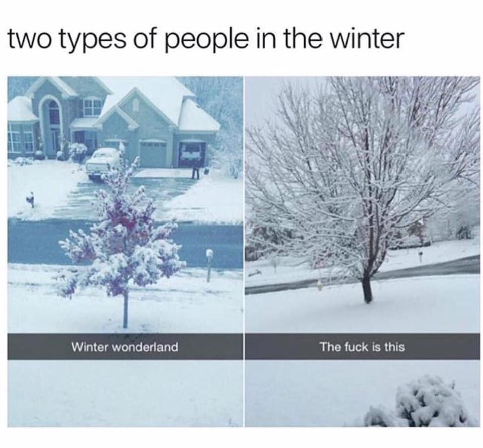 funny memes on winter - two types of people in the winter Winter wonderland The fuck is this