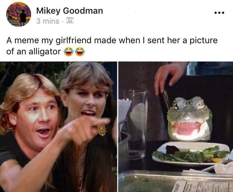 area 51 cat meme - Mikey Goodman 3 mins. I A meme my girlfriend made when I sent her a picture of an alligator
