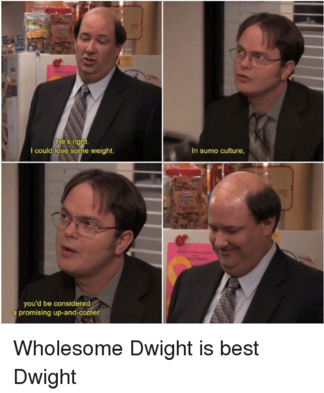 wholesome dwight - He's right. I could lose some weight. In sumo culture, you'd be considered a promising upandcomer. Wholesome Dwight is best Dwight
