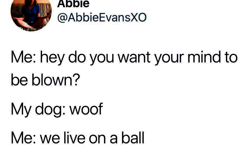 Abbie Me hey do you want your mind to be blown? My dog woof Me we live on a ball