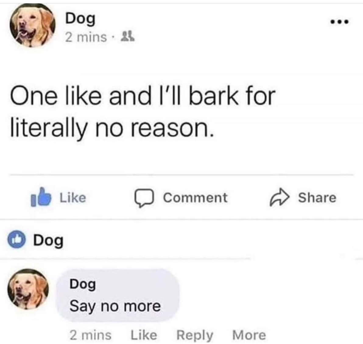 one like and ill - Dog 2 mins. 2 One and I'll bark for literally no reason. Ib Comment Dog Dog Say no more 2 mins More