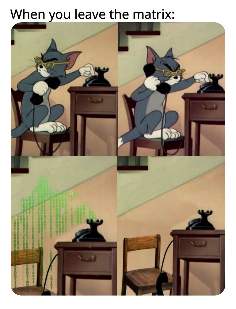 tom and jerry meme - When you leave the matrix