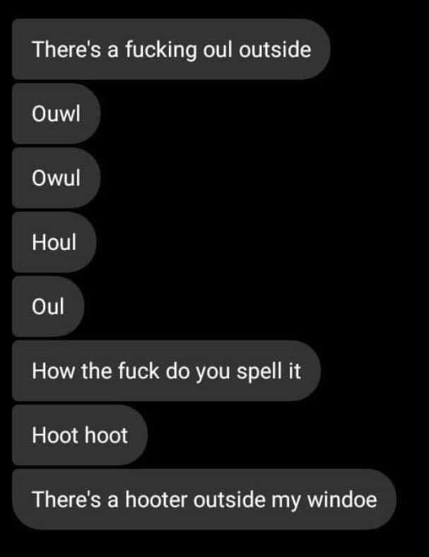 screenshot - There's a fucking oul outside Ouwl Owul Houl Oul How the fuck do you spell it Hoot hoot There's a hooter outside my windoe