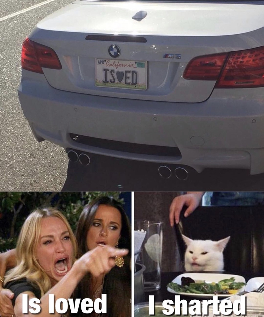 meme woman yelling at cat meme - Apr California Isoed Is loved I shartea