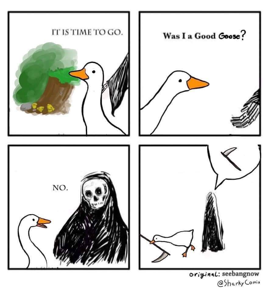 meme am told you were the best - It Is Time To Go. Was I a Good Goose? No. original seebangnow Comix