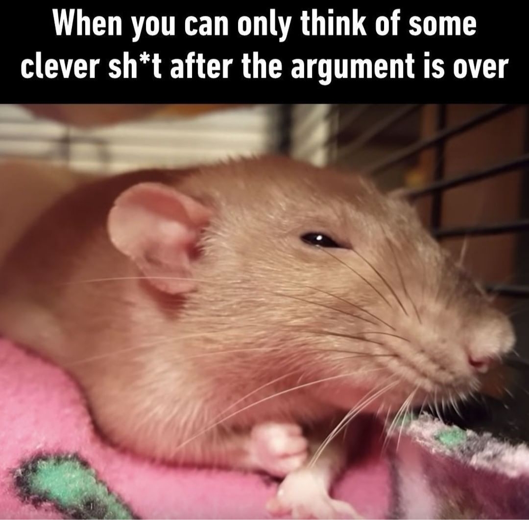 rat clenches fist of rage - When you can only think of some clever sht after the argument is over
