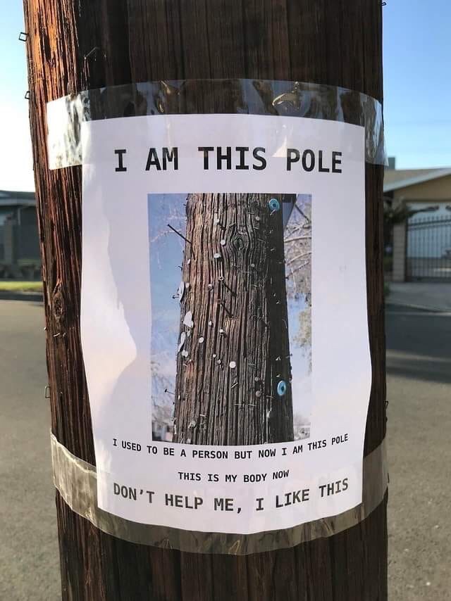 Meme - I Am This Pole I Used To Be A Pe Ed To Be A Person But Now Vow I Am This Pole This Is My Body Now Don'T Help Me. I I This