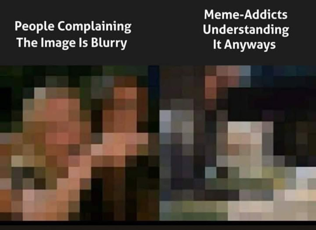 normies complaining the image is blurry - People Complaining The Image Is Blurry MemeAddicts Understanding It Anyways
