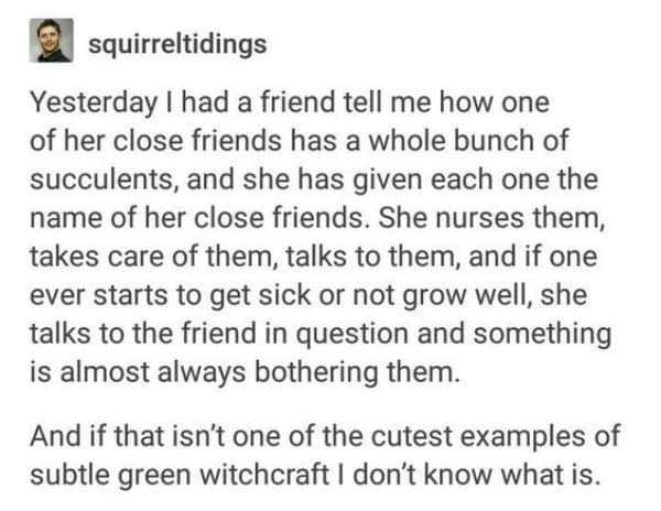 document - squirreltidings Yesterday I had a friend tell me how one of her close friends has a whole bunch of succulents, and she has given each one the name of her close friends. She nurses them, takes care of them, talks to them, and if one ever starts 