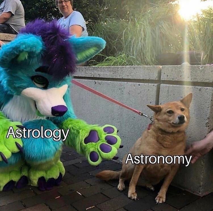 astrology astronomy dog meme - Astrology Astronomy