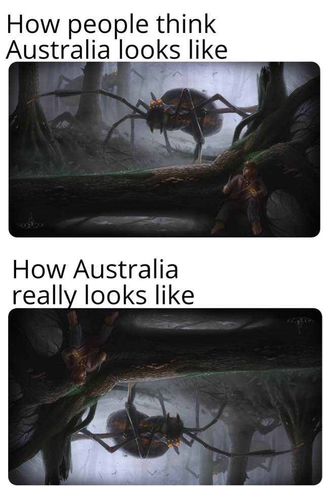 tree - How people think Australia looks How Australia really looks