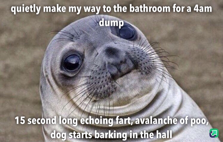 most popular memes - quietly make my way to the bathroom for a 4am dump 15 second long echoing fart, avalanche of poo, dog starts barking in the hall