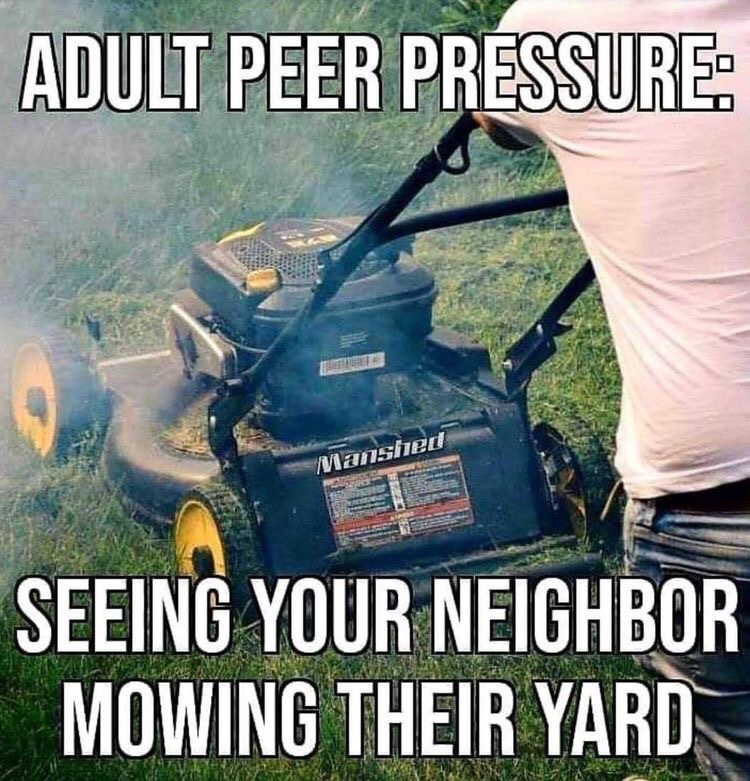 adult peer pressure meme - Adult Peer Pressure Manshed Seeing Your Neighbor Mowing Their Yard