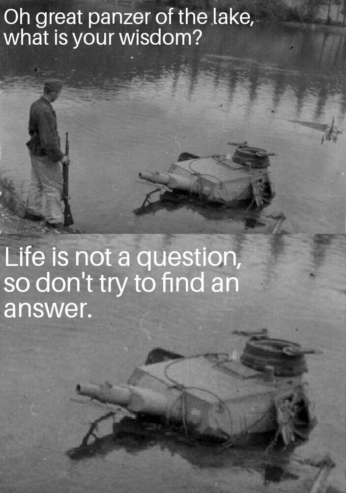 gta v 1 0 memes - Oh great panzer of the lake, what is your wisdom? Life is not a question, so don't try to find an answer.
