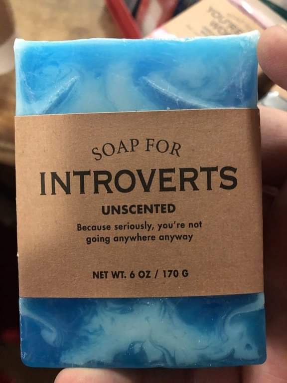 Soap For Introverts Unscented Because seriously, you're not going anywhere anyway Net Wt. 6 Oz 170 G