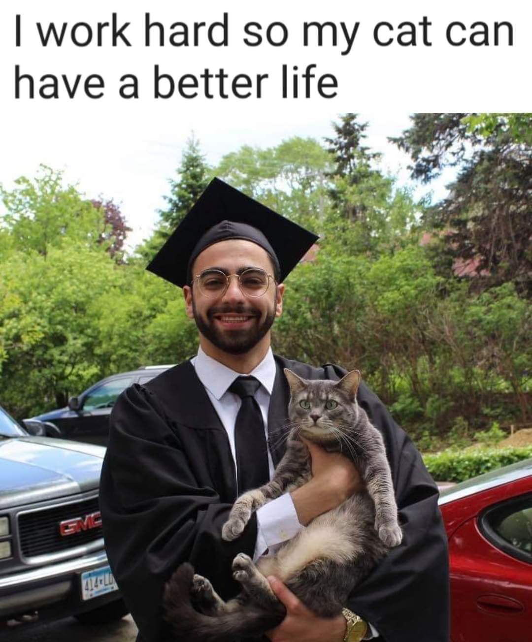 photo caption - I work hard so my cat can have a better life