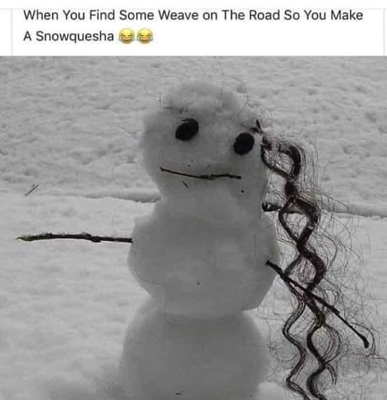 snowquesha meme - When You Find Some Weave on The Road So You Make A Snowquesha