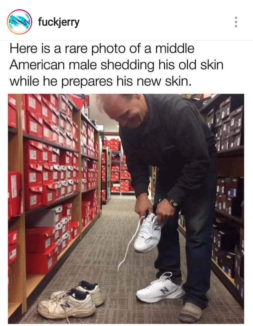 dad shedding shoes meme - fuckjerry Here is a rare photo of a middle American male shedding his old skin while he prepares his new skin. Iii