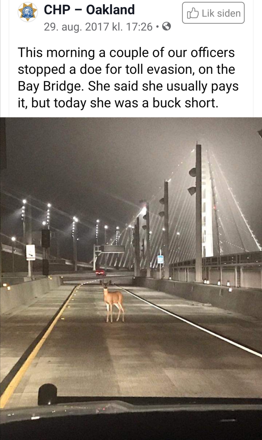 deer on the bay bridge - Chp Oakland 29. aug. 2017 kl. . Lik siden This morning a couple of our officers stopped a doe for toll evasion, on the Bay Bridge. She said she usually pays it, but today she was a buck short.