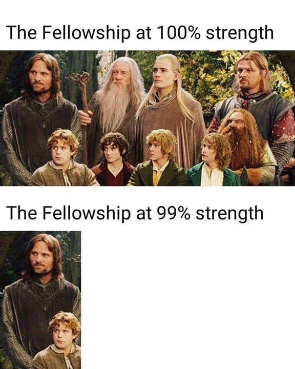 fellowship of the ring meme - The Fellowship at 100% strength The Fellowship at 99% strength