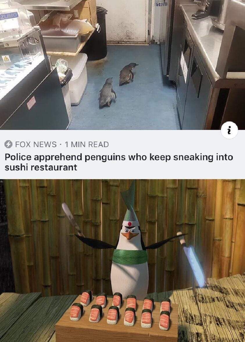 penguins sushi shop - 4 Fox News . 1 Min Read Police apprehend penguins who keep sneaking into sushi restaurant
