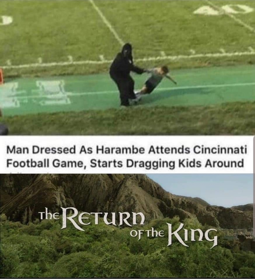 man dressed as harambe attends football game - Man Dressed As Harambe Attends Cincinnati Football Game, Starts Dragging Kids Around The Return of the King