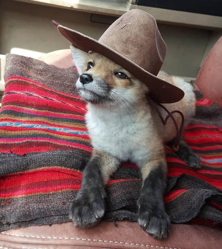 you gonna scroll by without saying howdy