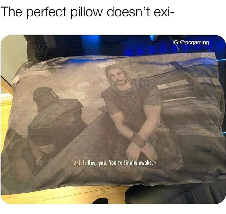 hey you you re finally awake pillow - The perfect pillow doesn't exi Ig L G Ralof Hey, you. You're finally awake.