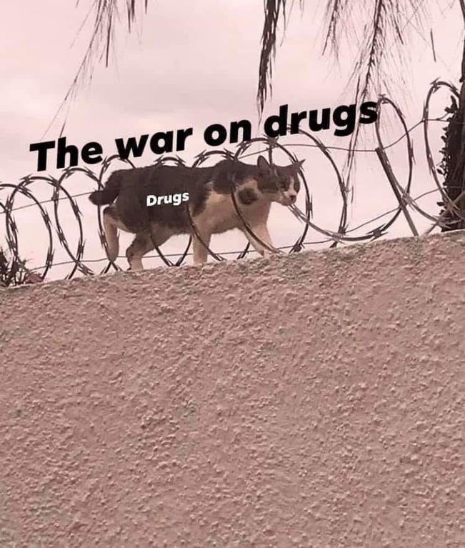 The war on drugs Drugs