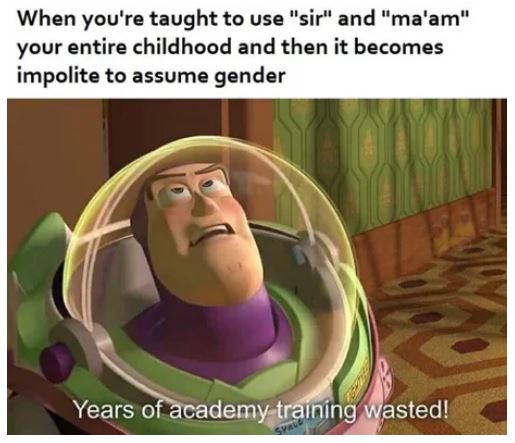 beryllium memes - When you're taught to use "sir" and "ma'am" your entire childhood and then it becomes impolite to assume gender Years of academy training wasted!