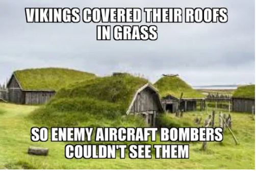 viking houses - Vikings Covered Their Roofs In Grass So Enemy Aircraft Bombers Couldn'T See Them