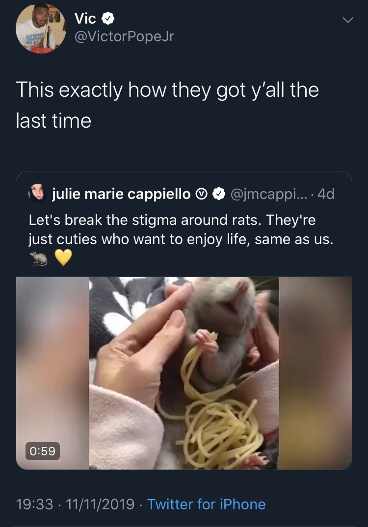 black twitter - Vic PopeJr This exactly how they got y'all the last time julie marie cappiello ... 4d, Let's break the stigma around rats. They're just cuties who want to enjoy life, same as us. 11112019 Twitter for iPhone